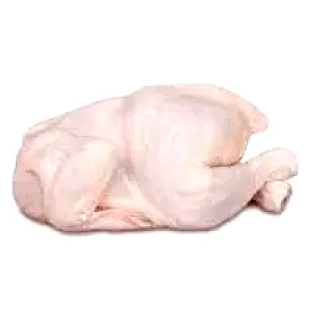 Poulet 